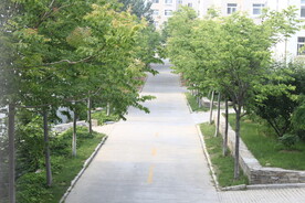 公园风景