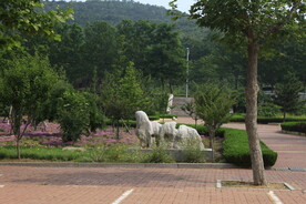 公园风景