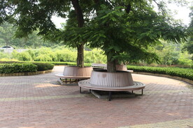 公园风景
