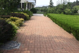 公园风景