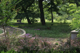 公园风景