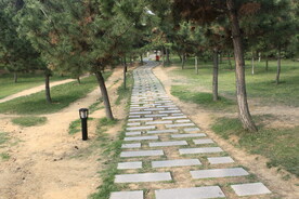 公园风景