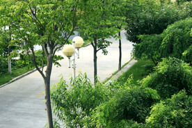 公园风景