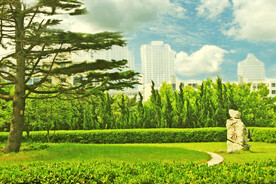 公园风景