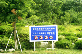 校园风景