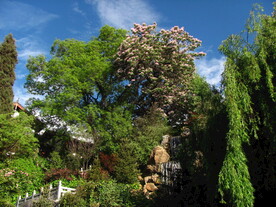 公园美景