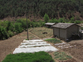 田园小屋