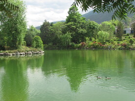 湖泊美景