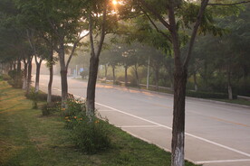 早晨阳光美景