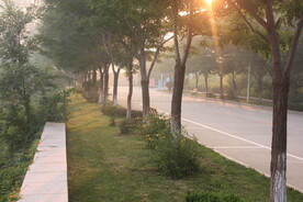 早晨一缕阳光