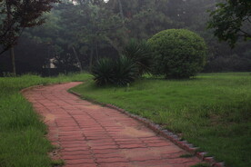 公园美景