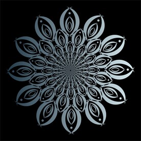 对称花纹
