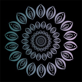 对称花纹
