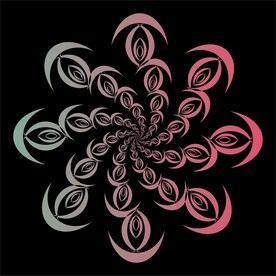 对称花纹