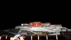 布达拉宫夜景