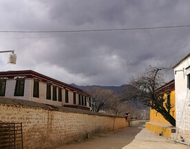 西藏巷子风景
