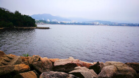 沿海风景