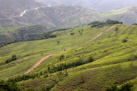 高山小路