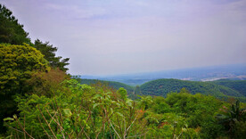 山坡风光