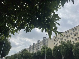 建筑物风景
