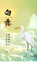 白露海报