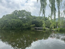 湖面树荫风景