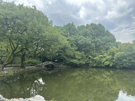 河流湖面风景