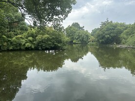 湖面风景