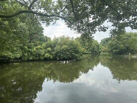 湖面林荫风景