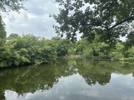 湖面林荫风景