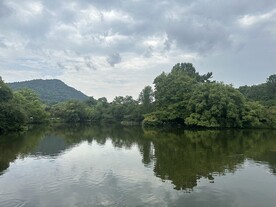 西湖湖面林荫