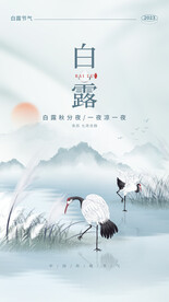 白露