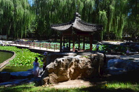 公园风景 