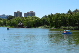 公园风景 
