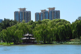 公园风景