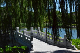 公园风景