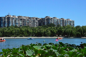 公园风景 