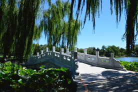 公园风景  