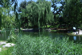 公园风景 