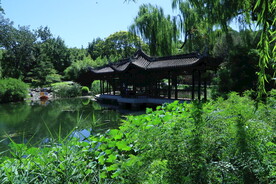 公园风景 