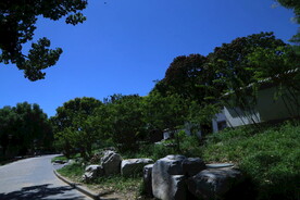 公园风景