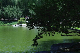 公园风景