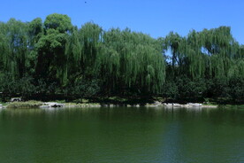 公园风景 