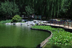 公园风景