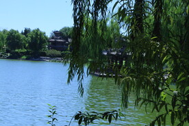 公园风景 