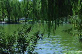 公园风景 