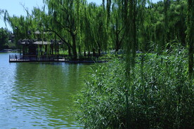公园风景 