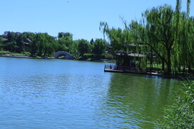 公园风景 