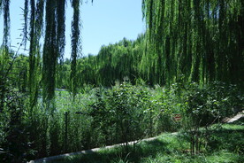 公园风景 