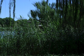 公园风景 